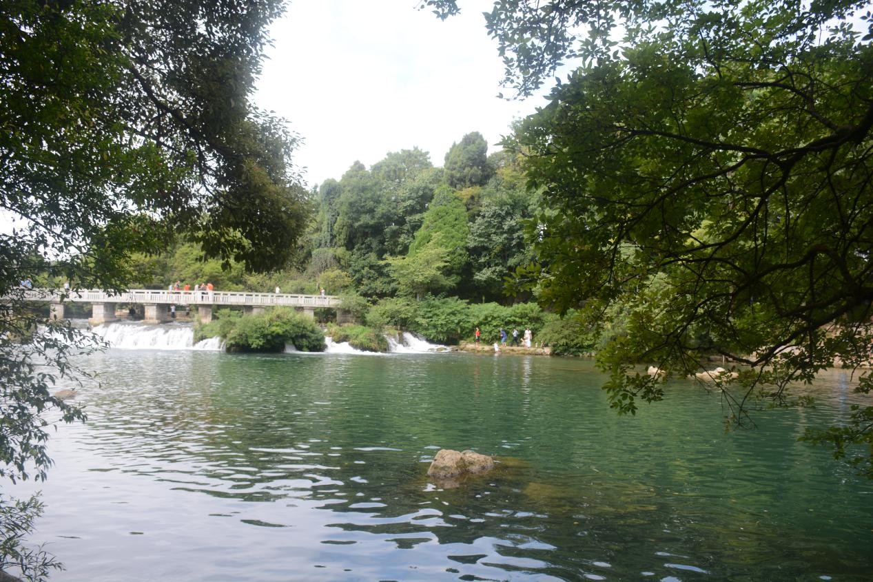 1504603023168664.jpg 5.jpg